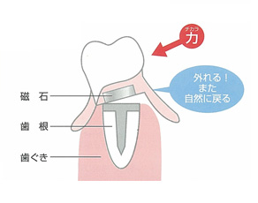 磁石の魅力